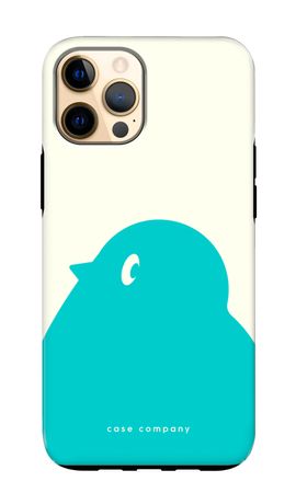BIG Robin 1