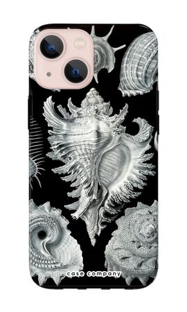 Haeckel Prosobranchia