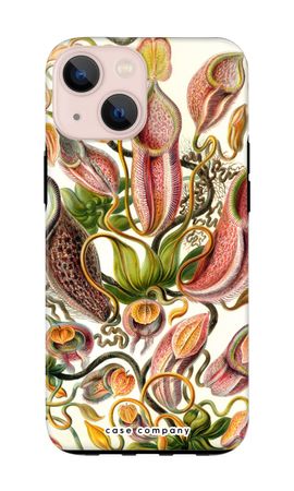 Haeckel Nepenthaceae