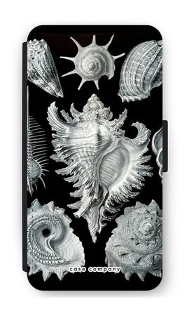 Haeckel Prosobranchia