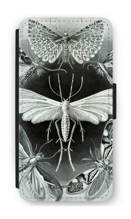 Haeckel Tineida