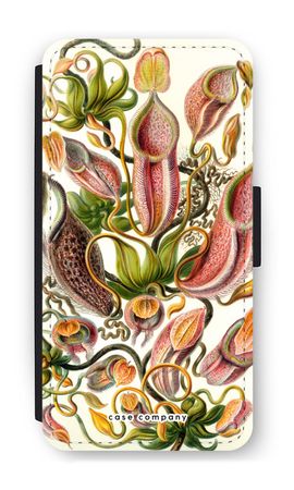 Haeckel Nepenthaceae