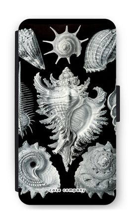 Haeckel Prosobranchia
