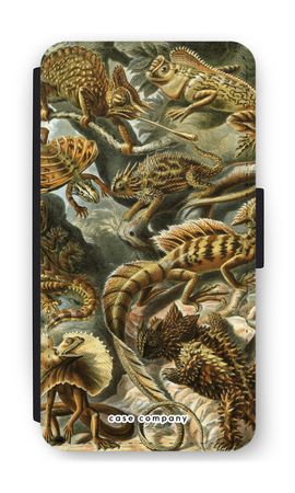 Haeckel Lacertilia