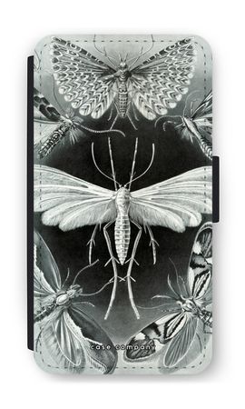 Haeckel Tineida