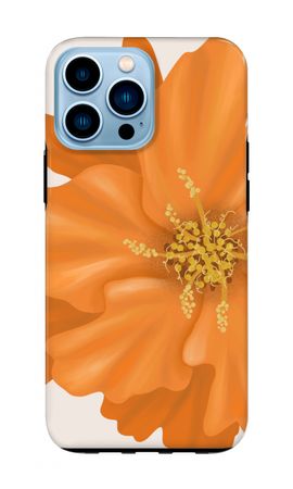 Orange Ellila flower