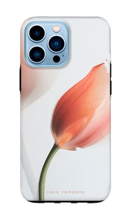 Tulip