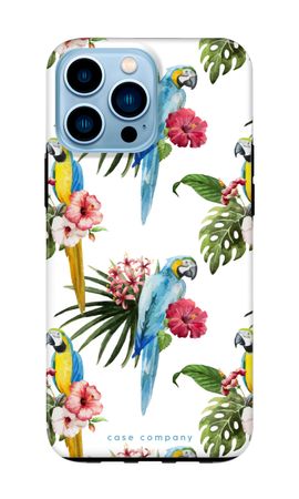 Colourful parrots