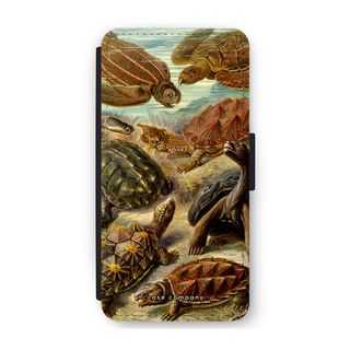 Haeckel Chelonia