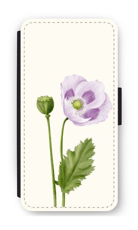 Purple poppy