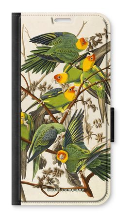 Carolina Parrot