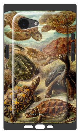 Haeckel Chelonia