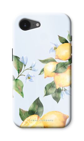 Orchard Sun