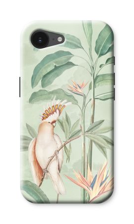 Tropical Parrot