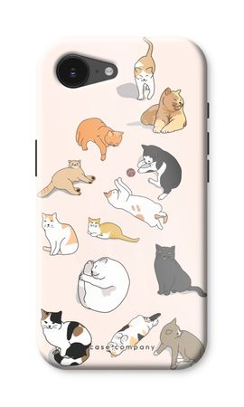 Cats