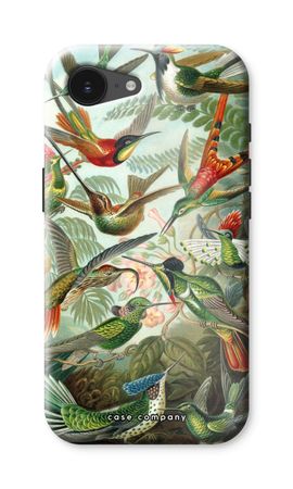 Haeckel Trochilidae