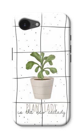 Houseplant on windowpane