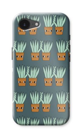 Sansevieria