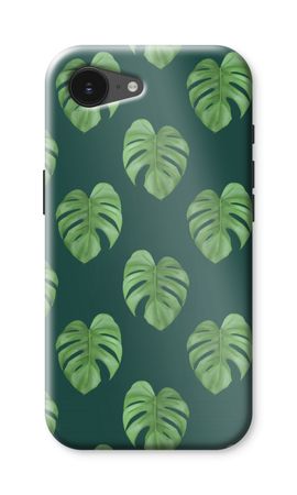 Monstera leaves
