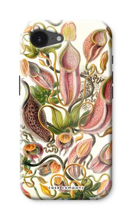Haeckel Nepenthaceae