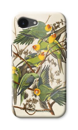 Carolinaparkiet