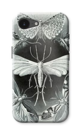 Haeckel Tineida