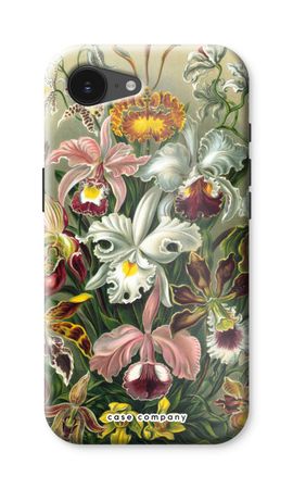 Haeckel Orchidae