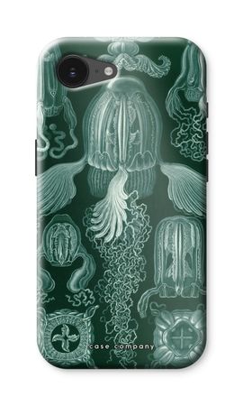 Haeckel Cubomedusae