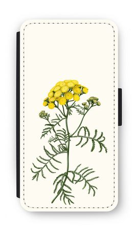 Tansy