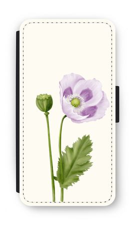 Purple poppy