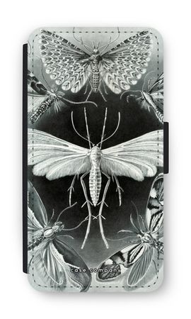 Haeckel Tineida
