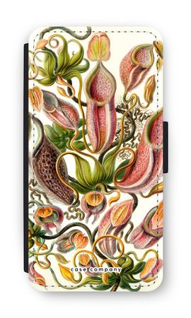 Haeckel Nepenthaceae