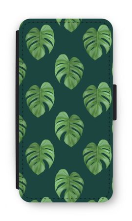 Monstera leaves