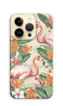 Tropical Flamingo