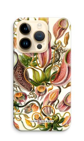Haeckel Nepenthaceae