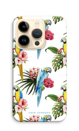 Colourful parrots