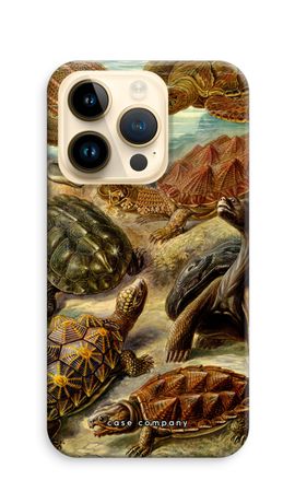 Haeckel Chelonia