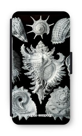 Haeckel Prosobranchia