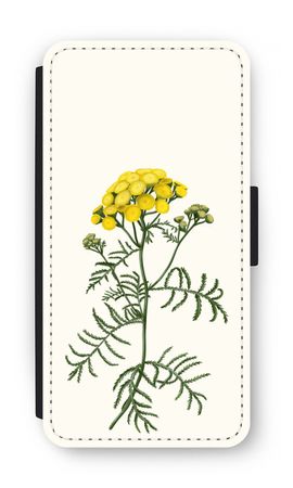 Tansy