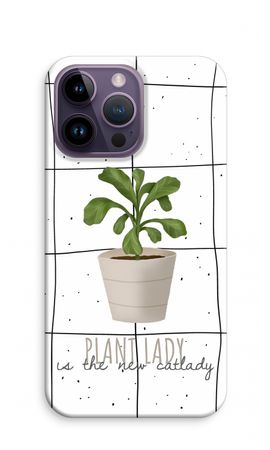 Houseplant on windowpane