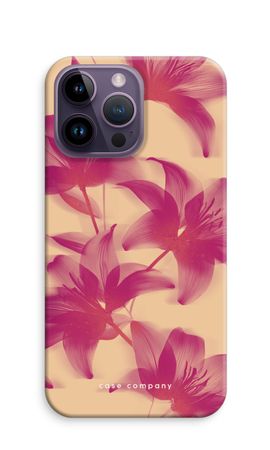 Sunset Bloom