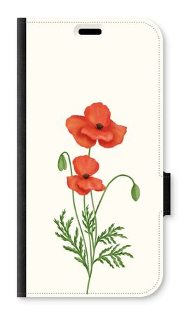 Red poppy
