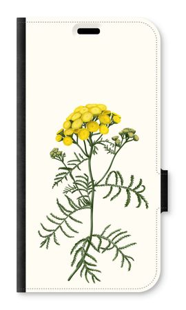 Tansy