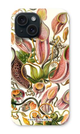 Haeckel Nepenthaceae