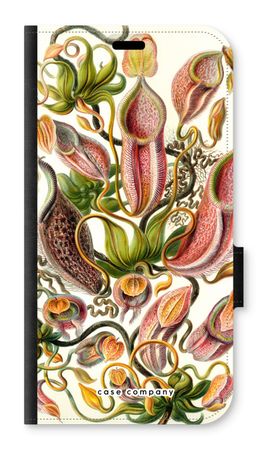 Haeckel Nepenthaceae