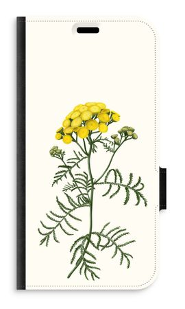 Tansy