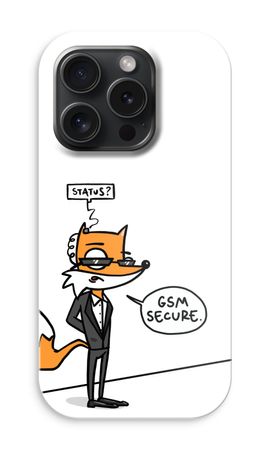 GSM secure