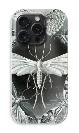 Haeckel Tineida