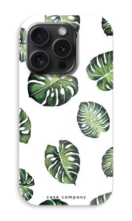 Feuilles tropicales