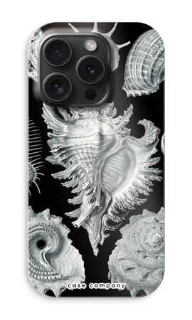 Haeckel Prosobranchia